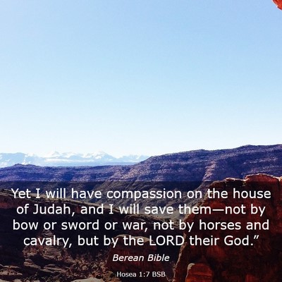 Picture 03 - Hosea 1:7 BSB - Yet I will have compassion on the house of Judah, - Bible Verse Picture