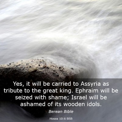 Picture 03 - Hosea 10:6 BSB - Yes, it will be carried to Assyria as tribute to - Bible Verse Picture