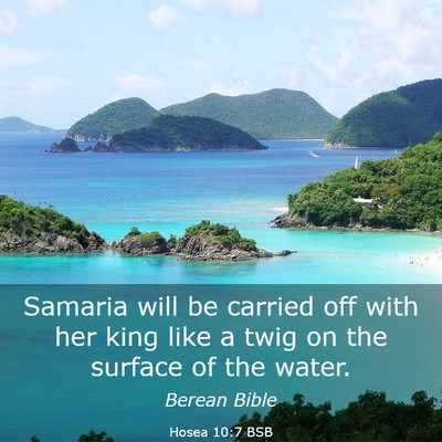 Picture 03 - Hosea 10:7 BSB - Samaria will be carried off with her king like a - Bible Verse Picture