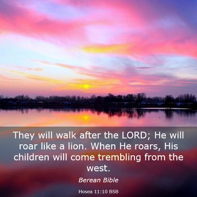 Picture 03 - Hosea 11:10 BSB - They will walk after the LORD; He will roar like - Bible Verse Picture