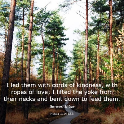Picture 03 - Hosea 11:4 BSB - I led them with cords of kindness, with ropes of - Bible Verse Picture