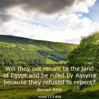 Picture 03 - Hosea 11:5 BSB - Will they not return to the land of Egypt and be - Bible Verse Picture