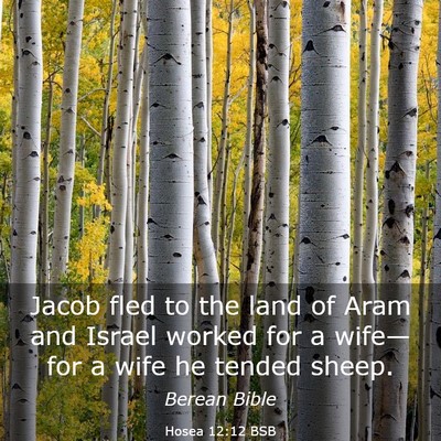 Picture 03 - Hosea 12:12 BSB - Jacob fled to the land of Aram and Israel worked - Bible Verse Picture