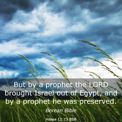 Picture 03 - Hosea 12:13 BSB - But by a prophet the LORD brought Israel out of - Bible Verse Picture