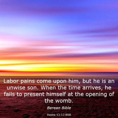 Picture 03 - Hosea 13:13 BSB - Labor pains come upon him, but he is an unwise - Bible Verse Picture