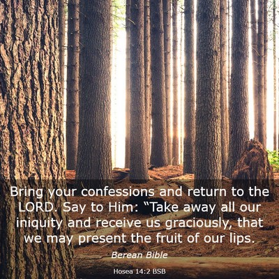 Picture 03 - Hosea 14:2 BSB - Bring your confessions and return to the LORD. - Bible Verse Picture