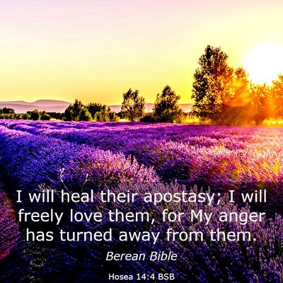 Picture 03 - Hosea 14:4 BSB - I will heal their apostasy; I will freely love - Bible Verse Picture