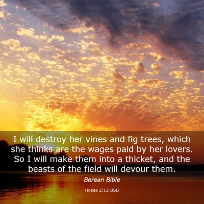 Picture 03 - Hosea 2:12 BSB - I will destroy her vines and fig trees, which she - Bible Verse Picture