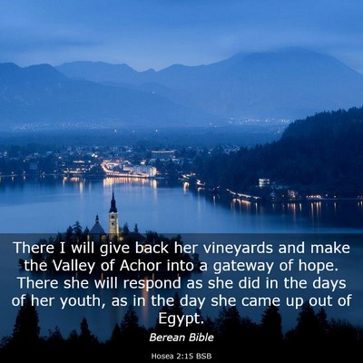 Picture 03 - Hosea 2:15 BSB - There I will give back her vineyards and make the - Bible Verse Picture