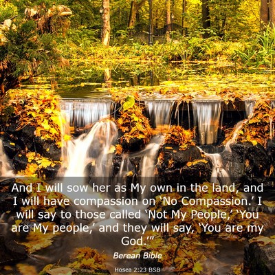 Picture 03 - Hosea 2:23 BSB - And I will sow her as My own in the land, and I - Bible Verse Picture