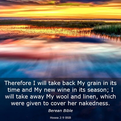 Picture 03 - Hosea 2:9 BSB - Therefore I will take back My grain in its time - Bible Verse Picture