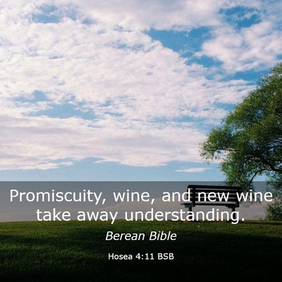 Picture 03 - Hosea 4:11 BSB - Promiscuity, wine, and new wine take away - Bible Verse Picture