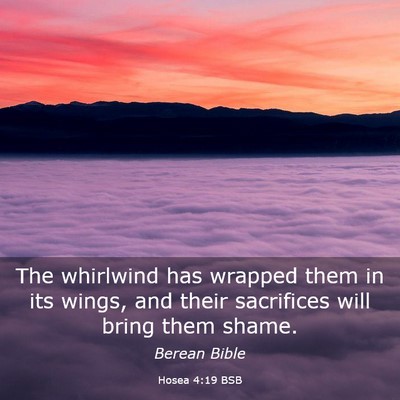 Picture 03 - Hosea 4:19 BSB - The whirlwind has wrapped them in its wings, and - Bible Verse Picture