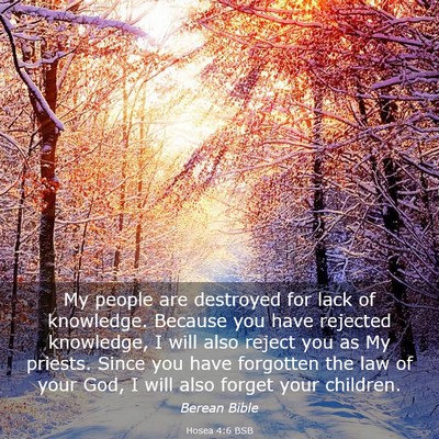 Picture 03 - Hosea 4:6 BSB - My people are destroyed for lack of knowledge. - Bible Verse Picture