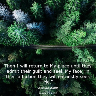 Picture 03 - Hosea 5:15 BSB - Then I will return to My place until they admit - Bible Verse Picture