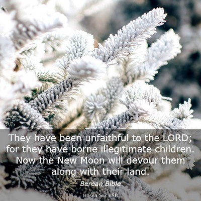 Picture 03 - Hosea 5:7 BSB - They have been unfaithful to the LORD; for they - Bible Verse Picture
