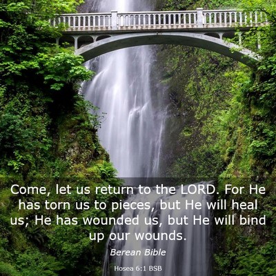 Picture 03 - Hosea 6:1 BSB - Come, let us return to the LORD. For He has torn - Bible Verse Picture