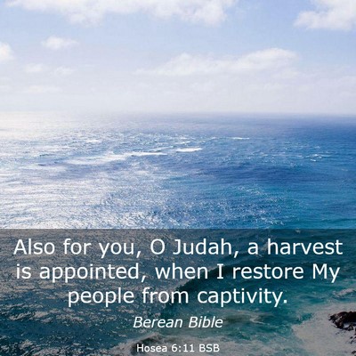 Picture 03 - Hosea 6:11 BSB - Also for you, O Judah, a harvest is appointed, - Bible Verse Picture