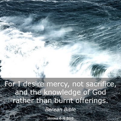 Picture 03 - Hosea 6:6 BSB - For I desire mercy, not sacrifice, and the - Bible Verse Picture