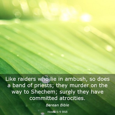 Picture 03 - Hosea 6:9 BSB - Like raiders who lie in ambush, so does a band of - Bible Verse Picture
