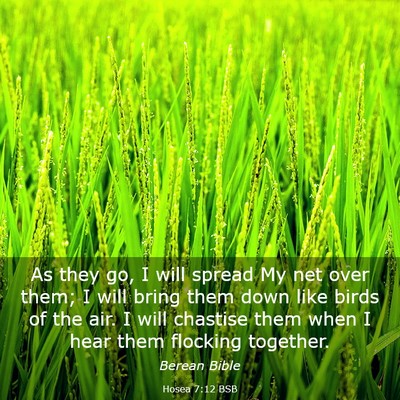Picture 03 - Hosea 7:12 BSB - As they go, I will spread My net over them; I - Bible Verse Picture