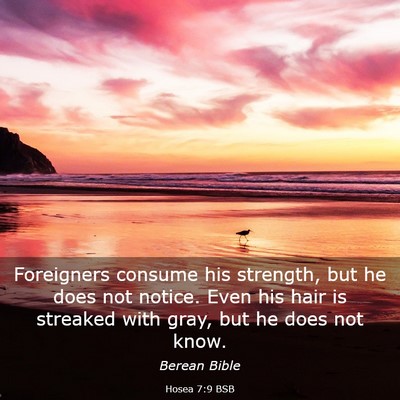 Picture 03 - Hosea 7:9 BSB - Foreigners consume his strength, but he does not - Bible Verse Picture