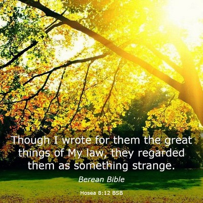 Picture 03 - Hosea 8:12 BSB - Though I wrote for them the great things of My - Bible Verse Picture
