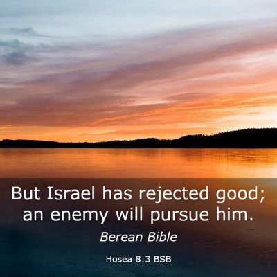 Picture 03 - Hosea 8:3 BSB - But Israel has rejected good; an enemy will - Bible Verse Picture