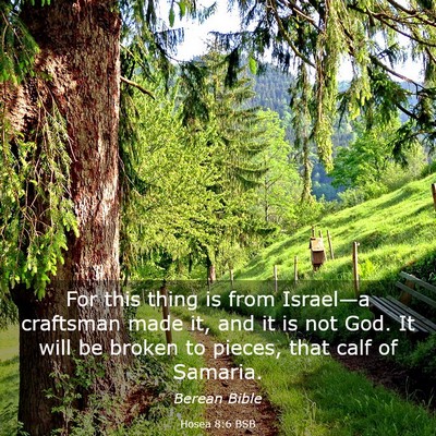 Picture 03 - Hosea 8:6 BSB - For this thing is from Israel—a craftsman made - Bible Verse Picture