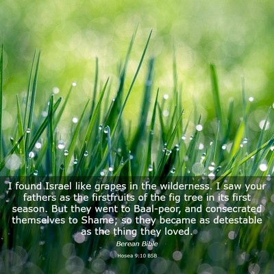 Picture 03 - Hosea 9:10 BSB - I found Israel like grapes in the wilderness. I - Bible Verse Picture