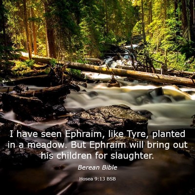 Picture 03 - Hosea 9:13 BSB - I have seen Ephraim, like Tyre, planted in a - Bible Verse Picture