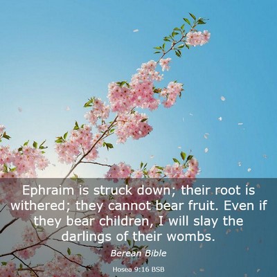 Picture 03 - Hosea 9:16 BSB - Ephraim is struck down; their root is withered; - Bible Verse Picture