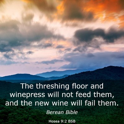 Picture 03 - Hosea 9:2 BSB - The threshing floor and winepress will not feed - Bible Verse Picture