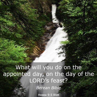 Picture 03 - Hosea 9:5 BSB - What will you do on the appointed day, on the day - Bible Verse Picture
