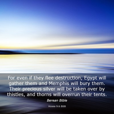 Picture 03 - Hosea 9:6 BSB - For even if they flee destruction, Egypt will - Bible Verse Picture