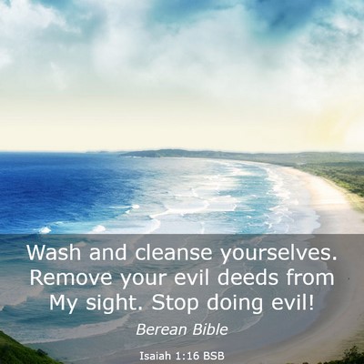 Picture 03 - Isaiah 1:16 BSB - Wash and cleanse yourselves. Remove your evil - Bible Verse Picture