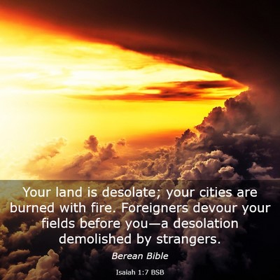 Picture 03 - Isaiah 1:7 BSB - Your land is desolate; your cities are burned - Bible Verse Picture