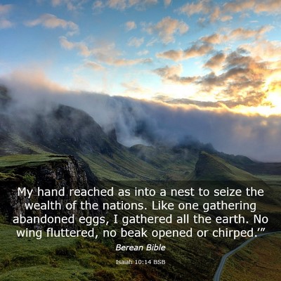 Picture 03 - Isaiah 10:14 BSB - My hand reached as into a nest to seize the - Bible Verse Picture