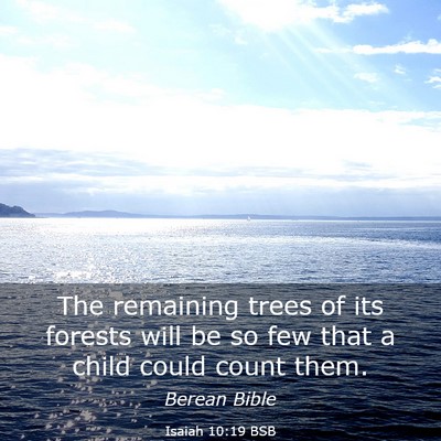 Picture 03 - Isaiah 10:19 BSB - The remaining trees of its forests will be so few - Bible Verse Picture
