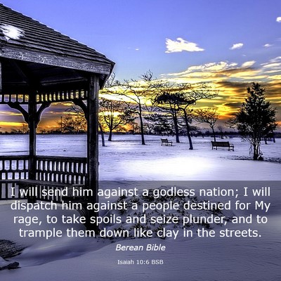 Picture 03 - Isaiah 10:6 BSB - I will send him against a godless nation; I will - Bible Verse Picture