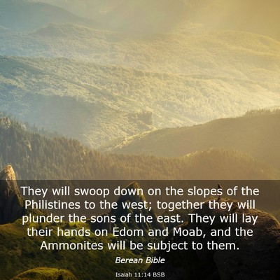 Picture 03 - Isaiah 11:14 BSB - They will swoop down on the slopes of the - Bible Verse Picture