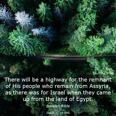 Picture 03 - Isaiah 11:16 BSB - There will be a highway for the remnant of His - Bible Verse Picture