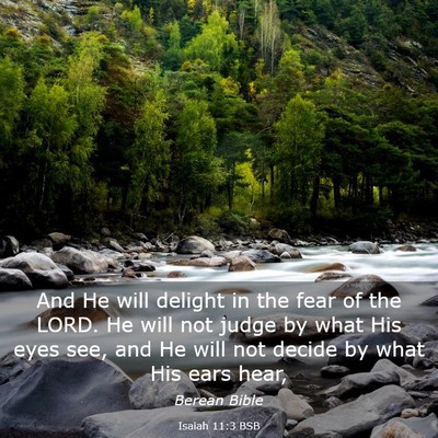 Picture 03 - Isaiah 11:3 BSB - And He will delight in the fear of the LORD. He - Bible Verse Picture