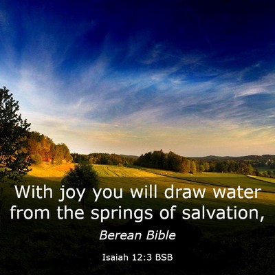 Picture 03 - Isaiah 12:3 BSB - With joy you will draw water from the springs of - Bible Verse Picture