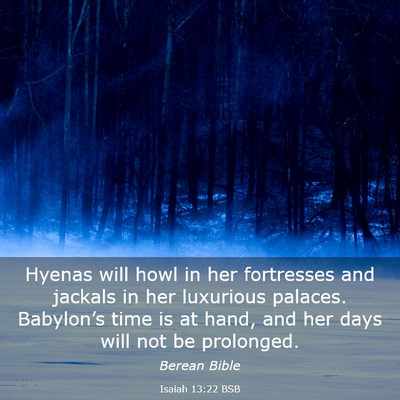 Picture 03 - Isaiah 13:22 BSB - Hyenas will howl in her fortresses and jackals in - Bible Verse Picture