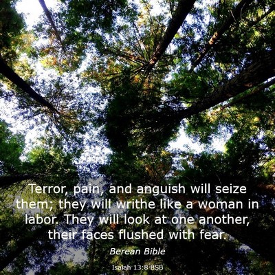 Picture 03 - Isaiah 13:8 BSB - Terror, pain, and anguish will seize them; they - Bible Verse Picture