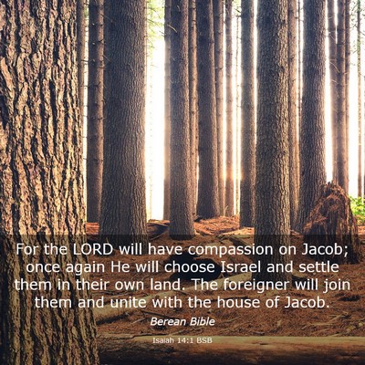 Picture 03 - Isaiah 14:1 BSB - For the LORD will have compassion on Jacob; once - Bible Verse Picture