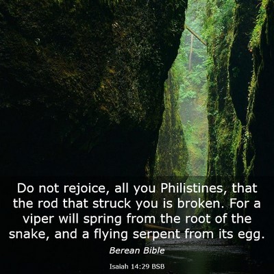 Picture 03 - Isaiah 14:29 BSB - Do not rejoice, all you Philistines, that the rod - Bible Verse Picture