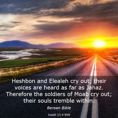 Picture 03 - Isaiah 15:4 BSB - Heshbon and Elealeh cry out; their voices are - Bible Verse Picture