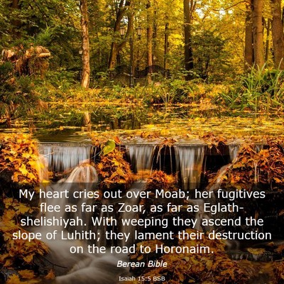 Picture 03 - Isaiah 15:5 BSB - My heart cries out over Moab; her fugitives flee - Bible Verse Picture
